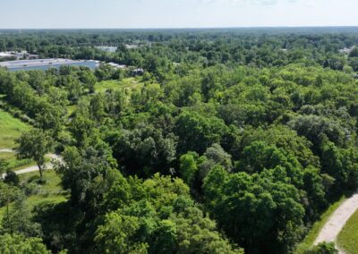 1733 McGregor Avenue Drone Photo